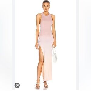 ALIX NYC Beeman Ombre Dress! NWT!